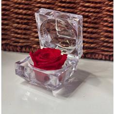 Small Preserved Rose
