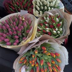 Any Color Tulip Boquet 