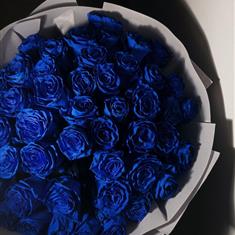 50 Blue Roses 