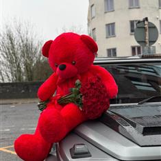 Red Teddy Bear