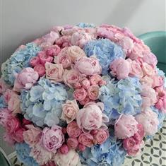 Blue Hyd &amp; Pink Flowers Mix