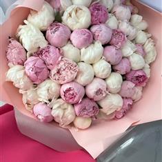 XXL White &amp; Pink Peonies 