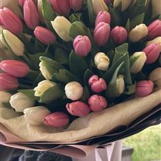 White &amp; Pink Tulips Mix