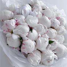 XXL White Tulips