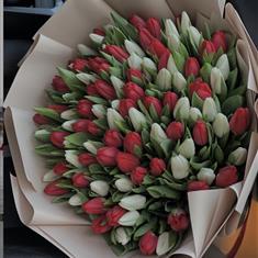 XXL Red &amp; White Tulips Mix