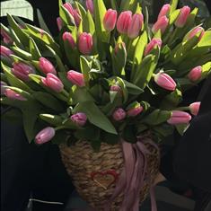 Basket of Pink Tulips
