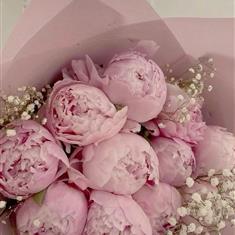 12 Peonies with Gyp