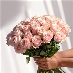 50 Pink Roses