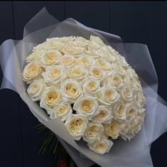 100 White Roses 