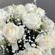 6 White Roses