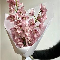Any Color Cymbidium Boquet 