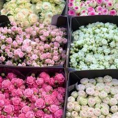 Any Color Spray Roses Boquet