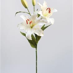 Single White Lily