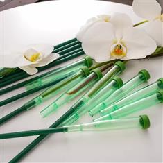 Orchid Sticks 21-05-2026 21 42 12