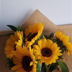 Sunflowers 