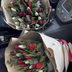 White &amp; Red Tulips Mix