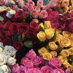 Any Color Rose