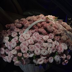 XXL Pink Spray Roses Basket