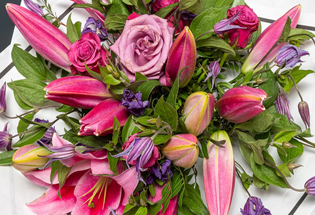 Illyrian Summer Flowers Harrow