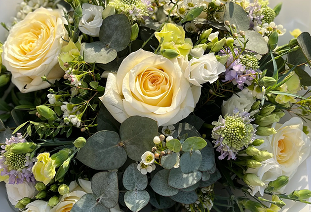 Illyrian Same Day Flowers Harrow