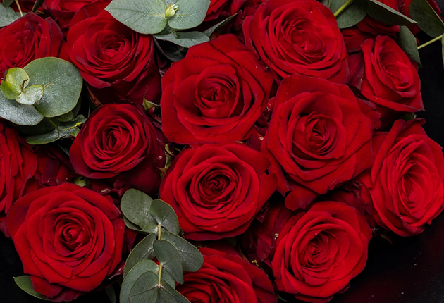 Illyrian Romance Flowers Harrow