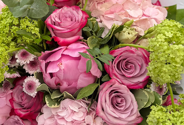 Illyrian Flowers Harrow