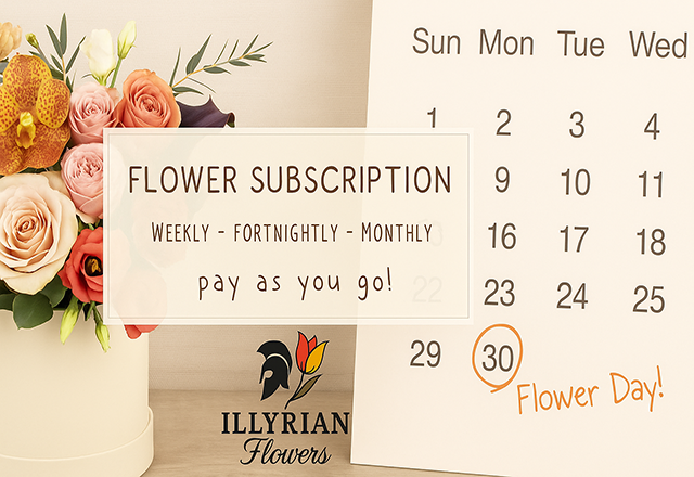 Illyrian Subscription Flowers Harrow